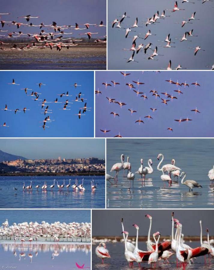 Al Corso Bed & Breakfast Cagliari Luaran gambar